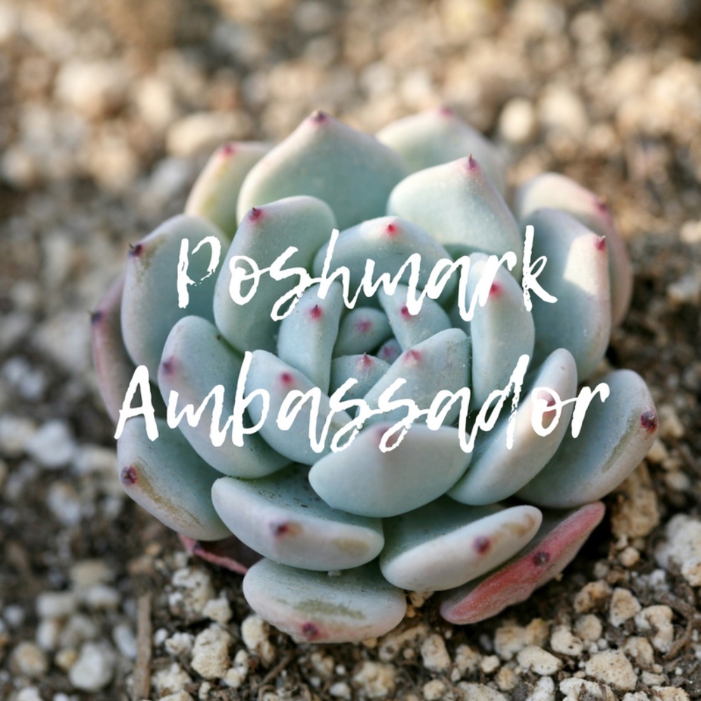 Poshmark Ambassador!